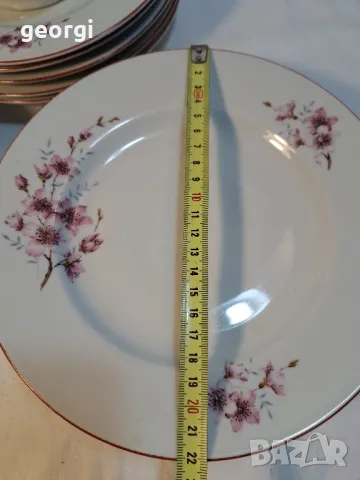 кана и чинии български порцелан ябълков цвят     4/2, снимка 6 - Чинии - 49025559