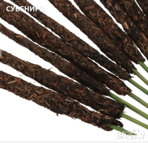 Ароматни пръчици за горене с лайка, снимка 3 - Декорация за дома - 49751475