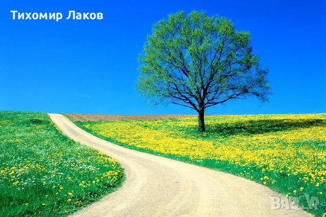 Купувам Земеделска Земя