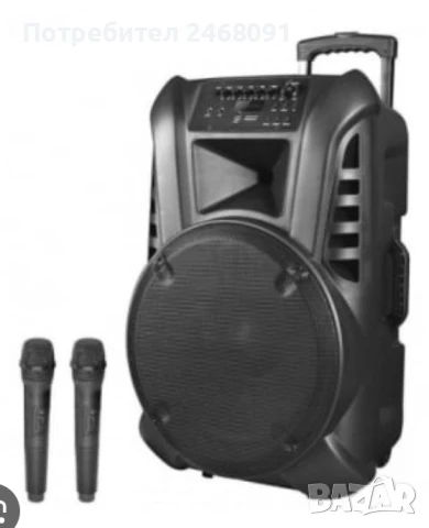 Караоке тонколона thunder 12" нова