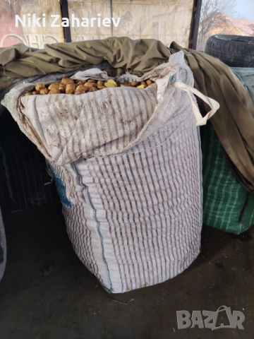 Картофи за животни, снимка 3 - За селскостопански - 53083606