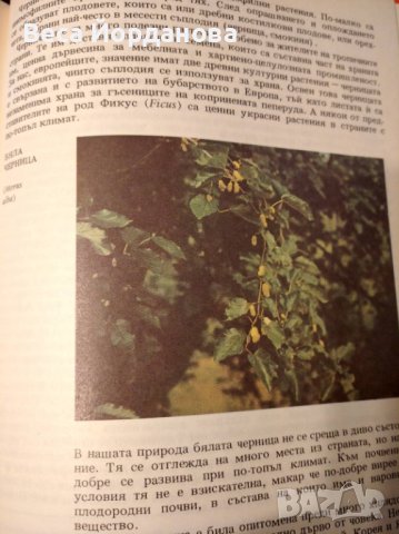 Атлас по ботаника, снимка 3 - Енциклопедии, справочници - 41145243