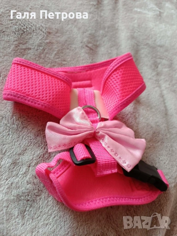 Нагръдници и поводи за развеждане на котки, снимка 3 - За котки - 53793626