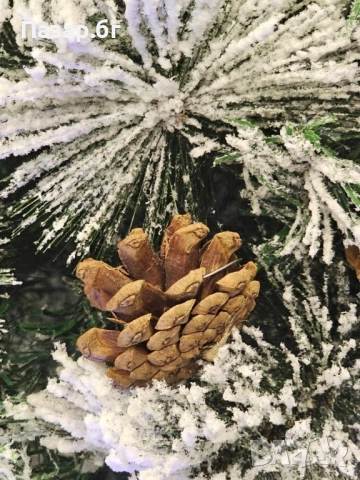 Изкуствено борче/елха със заскрежени иглички и шишарки, снимка 5 - Декорация за дома - 52501613