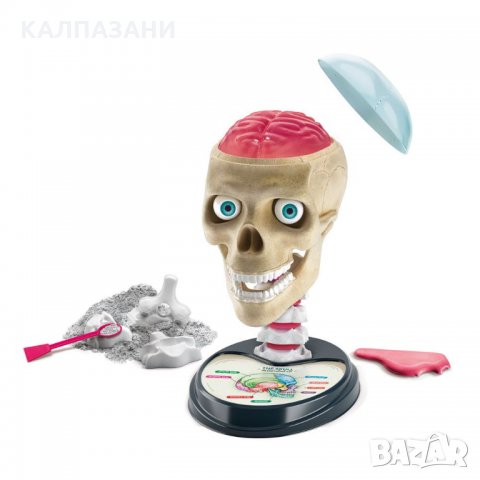 CLEMENTONI SCIENCE PLAY Забавна анатомия 61520, снимка 3 - Образователни игри - 34839952