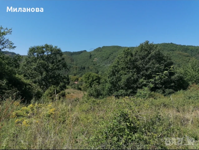 Продавам земеделска земя с.Гюешево., снимка 11 - Земеделска земя - 50913537