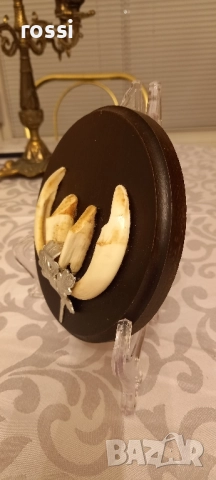 Красиви немски трофеи диво прасе, документ, трофей, снимка 7 - Колекции - 44200959