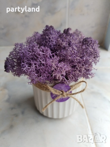 Скандинавски мъх декорация оригинален подарък, снимка 4 - Декорация за дома - 51985982