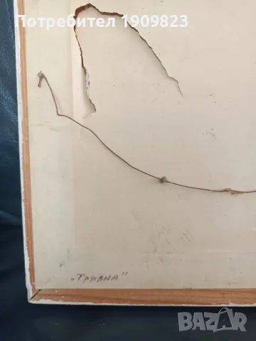 Картина Евгени Томов, снимка 5 - Картини - 48857947