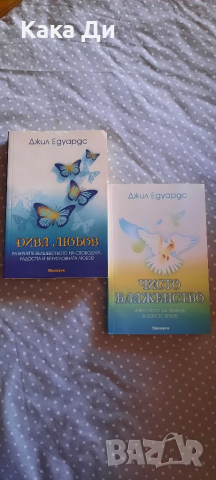 Чисто Блаженство и Дива Любов