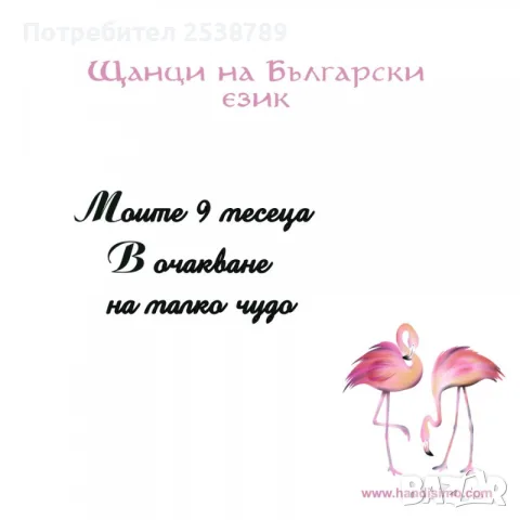 Щанци на Български език - Сет в очакване на малко чудо 8 бр.