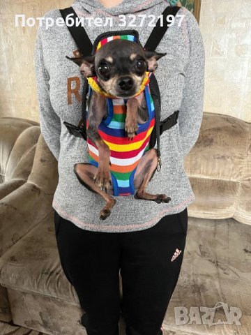 Раница Rainbow Pet Dog Carrier за пренасяне на кучета и котки, снимка 13 - За кучета - 40441066