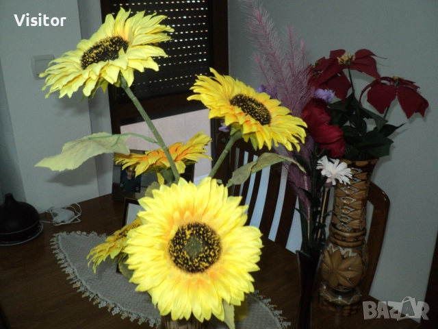 Sony Cyber-shot DSC-S2100   12 МРх, снимка 10 - Фотоапарати - 52851341