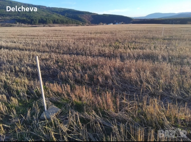 Земеделска земя област Перник, град Батановци 4451кв.м, снимка 9 - Земеделска земя - 52595651