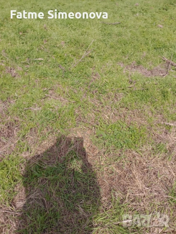 дворно място от собственик , снимка 7 - Парцели - 53866964