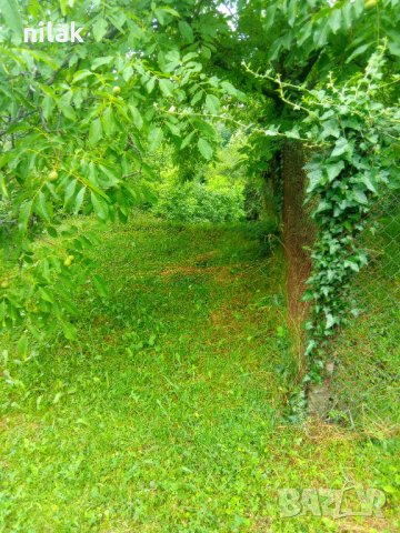 Продавам парцел в село Краево област София , снимка 6 - Парцели - 39292181