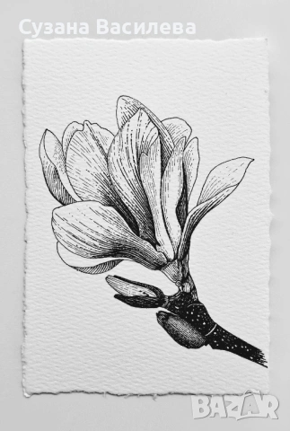 Нежни графични рисунки на цветя – ръчна изработка, снимка 3 - Картини - 53852610