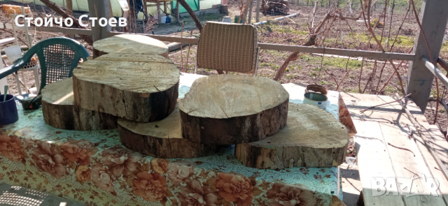 Орех труп и шайби от ореха, снимка 11 - Други - 35444412