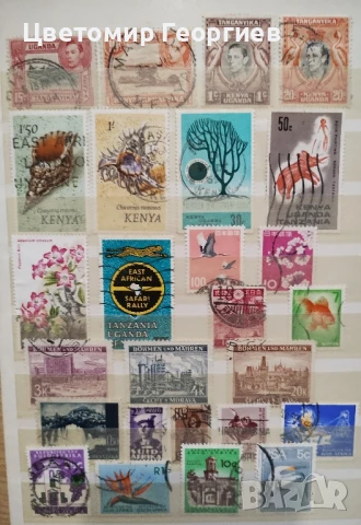 Класьор с марки 650 бр. К.3, снимка 5 - Филателия - 51113538