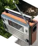 109📻✨РЯДКА ЕКСПОРТНА SELENA B215 – 88–108 MHz – 100 €, снимка 1