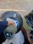 Серво усилвател за SKODA OCTAVIA 2 VW golf 5 audi BRAKE SERVO 1K2614105T 1K2 614 105 T, снимка 3