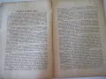 Списание "Житно зърно - бр. 10 - 1943 г." - 32 стр., снимка 3