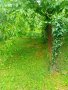 Продавам парцел в село Краево област София , снимка 6