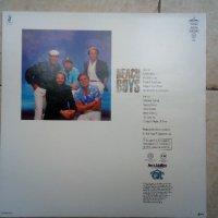 Грамофонна плоча  BEACH BOYS  LP., снимка 2 - Грамофонни плочи - 33803705