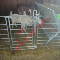 Прегради за овце и кози, снимка 7 - За селскостопански - 34655271