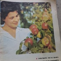 Колекция списание Здраве 1955 година , снимка 1 - Списания и комикси - 41993588