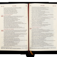 Книга "Библия с твърди корици в голям формат-ББД"-1368 стр., снимка 3 - Специализирана литература - 44828211