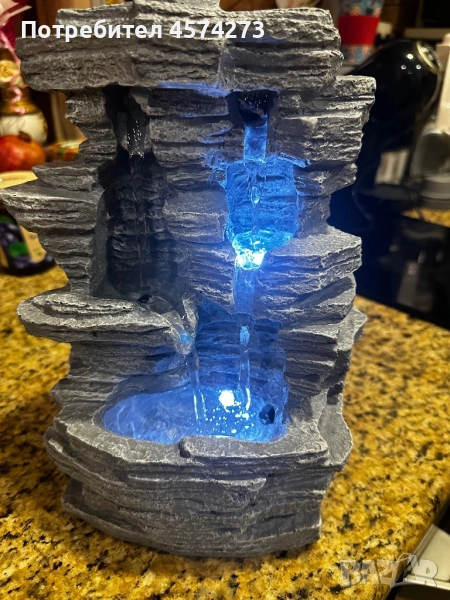 Шадраван декоративен , снимка 1