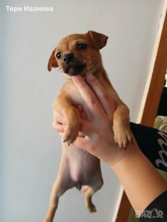 Момче и Момиче, снимка 1