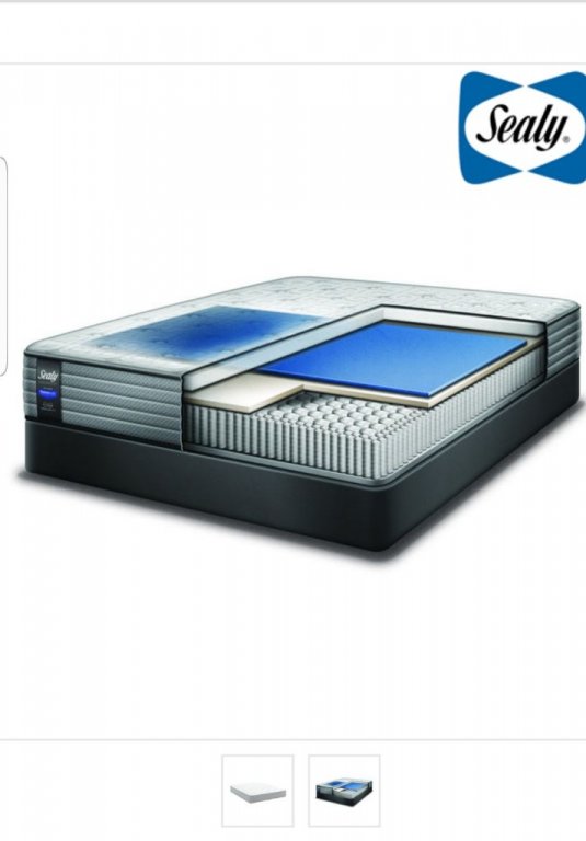 sealy shore drive plush