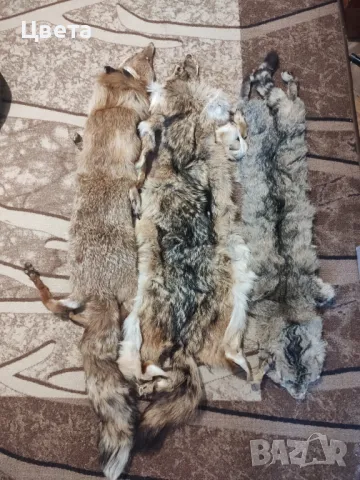 Кожи обработени, снимка 7 - Други - 47835856