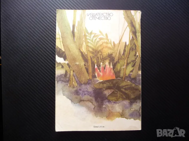 Тони-Пони Анета Дучева детска книжка с картинки приказки, снимка 4 - Детски книжки - 48078503