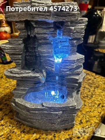 Шадраван декоративен 