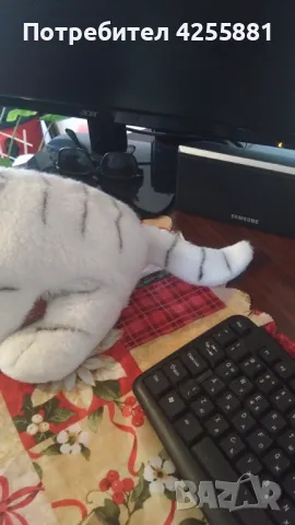 Плюшена играчка , снимка 5 - Плюшени играчки - 47977112