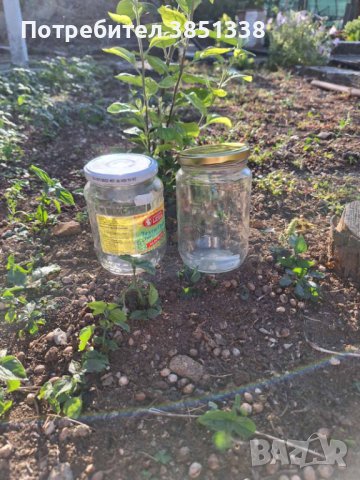 Винтови Буркани 0.40лв и от детски храни различни видове , снимка 3 - Буркани, бутилки и капачки - 42376552