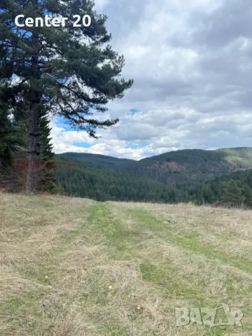 Парцел във вилна зона м. Дикчан, снимка 5 - Парцели - 50097071