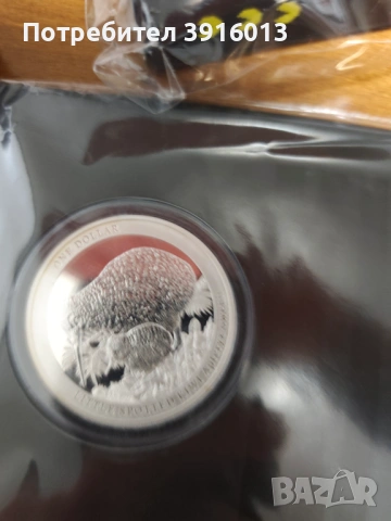 Сребърни монети 1 oz, снимка 5 - други­ - 53168858