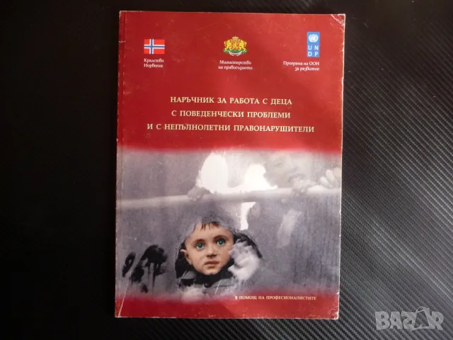 Наръчник за работа с деца с поведенчески проблеми и с непълнолетни правонарушители