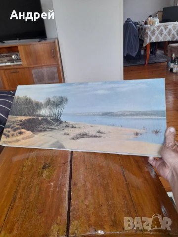 Стара картина #23, снимка 2 - Картини - 50715734