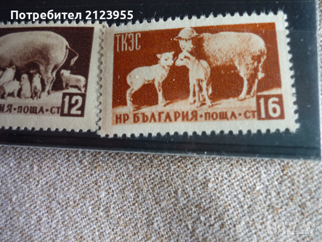Пощенски марки, снимка 4 - Филателия - 36338689