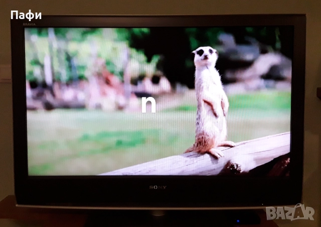 Sony KDL 40S 2510, снимка 5 - Телевизори - 52915383