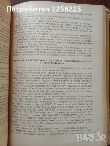 Лозарство, снимка 2 - Специализирана литература - 50611494
