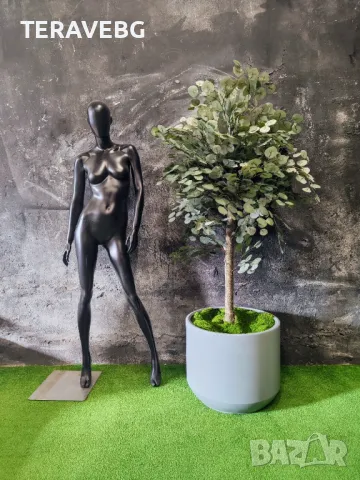 Изкуствени дървета и растения , снимка 16 - Декорация за дома - 48672493