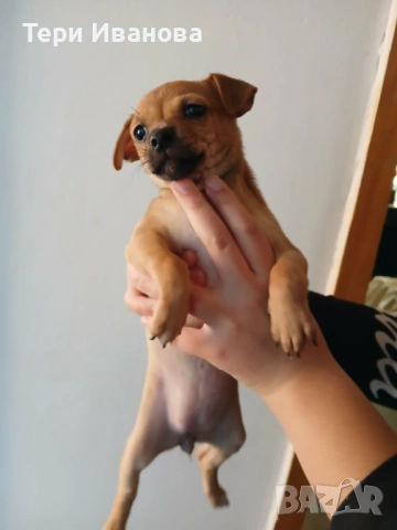 Момче и Момиче