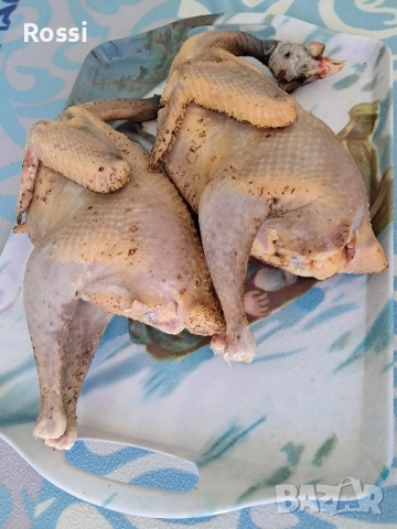 Домашно КОЗЕ сирене,кашкавал,мляко, снимка 17 - Домашни продукти - 33065789