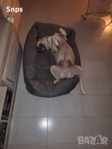 Удобно легло за домашни любимци, диван за кучешка къщичка, 100 x 70 см, снимка 7 - За кучета - 51892724